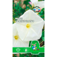 Ипомея Снежные хлопья