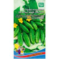 Огурец Уральский засол