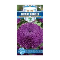 Га019904 Астра Гигант виолет, однолетняя (игольчато-коготковая)  0,05 г серия Русский богатырь Н18