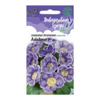 Га015534 Глоксиния Ликование 4 шт. гранул. пробирка, серия Лавандовые грезы Н20