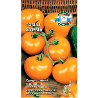 Томат Хурма