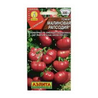 02Аэ1189 Томат Малиновая рапсодия
