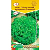 Салат полукочанный КУЧЕРЯВЕЦ ОДЕССКИЙ