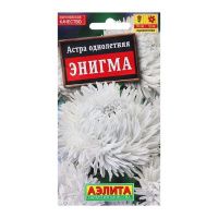 02Аэ1118 Астра Энигма коготковая