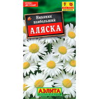 Нивяник Аляска