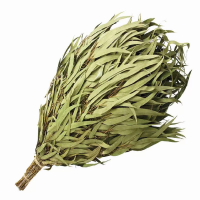 Веник из эвкалипта