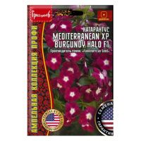 02Гр2997 Катарантус Mediterranean XP Burgundy Halo F1 5шт.