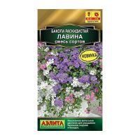 02Аэ1390 Бакопа раскидистая Лавина, смесь сортов