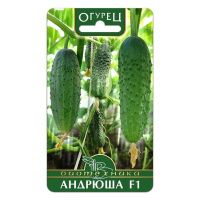02Би2909 Огурец  Андрюша F1 NDS 02Би2909 Огурец  Андрюша F1 NDS