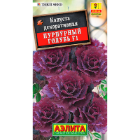 Капуста декоративная пурпурный голубь F1