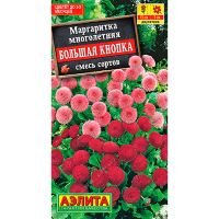 Маргаритка Большая Кнопка многолетняя