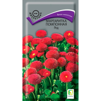 Маргаритка (многолетняя) помпонная Ред (ЦВ) (2) 0,05гр