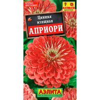 Цинния изящная Априори