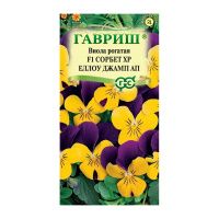 Га014650 Виола Сорбет XP Еллоу Джамп Ап F1 рогатая (Анютины глазки) 4 шт