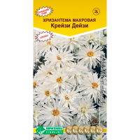 Хризантема КРЕЙЗИ ДЕЙЗИ