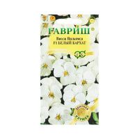 Га031277 Виола Белый бархат F1, Вильямса 5 шт. серия Элитная клумба