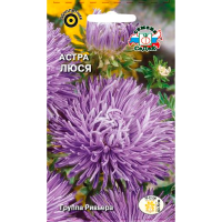 Астра Люся(игольчатая,темно-сиреневая)