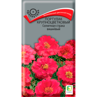 Портулак крупноцветковый Солнечная страна вишнёвый (ЦВ) (1) 0,1гр