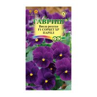 Га014651 Виола Сорбет XP Парпл F1 рогатая (Анютины глазки) 4 шт