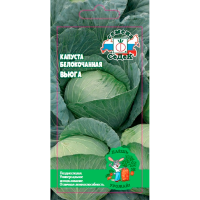 Капуста Вьюга