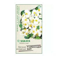 Га015526 Бегония Амбассадор Вайт F1 вечноцв. 4 шт. пробирка Саката серия Элитная клумба