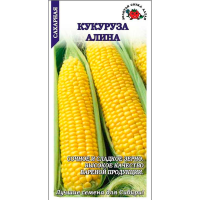 Кукуруза Алина