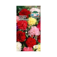 02Се4894 Гвоздика Маргарита (вид садовая, смесь цветов)