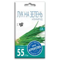 02Аг5878 Лук на зелень Изумруд, семена Агроуспех 1г (200)