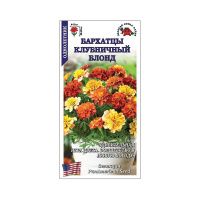 02Зо0514 Бархатцы Клубничный блонд