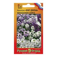 02Ру3860 Цветы Алиссум Биг Джем ароматная смесь 30шт
