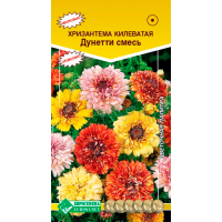 Хризантема килеватая ДУНЕТТИ смесь