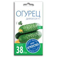 02Аг5681 Огурец Директор F1, семена Агроуспех 7шт (350)