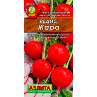 Редис Жара