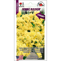 Статица Квис Еллоу