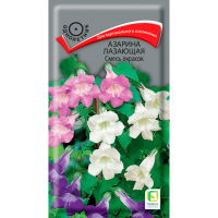 Азарина лазающая Смесь окрасок (ЦВ) (1) 10шт