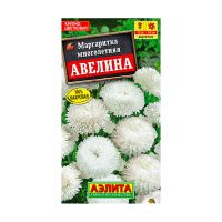 02Аэ1272 Маргаритка Авелина крупноцветковая