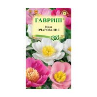 Га014704 Пион средний Очарование 3 шт