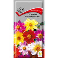 Георгина Пикколо мигнон микс (ЦВ) (1) 0,3гр