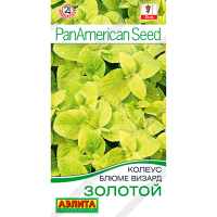 Колеус блюме Золотой