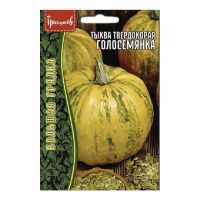 02Гр3038 Тыква Голосемянка твердокорая 1г. NDS