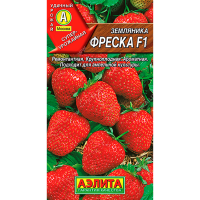 Земляника ремонтантная крупноплодная Фреска F1