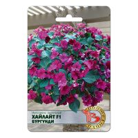 02Би3233 Импатиенс ампельный “Хайлайт” F1 Бургунди NDS