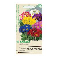 Га014715 Примула Супернова F1, полиантовая 4 шт. Саката серия Эксклюзив Н22