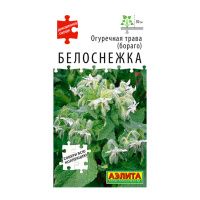 02Аэ1491 Огуречная трава Белоснежка
