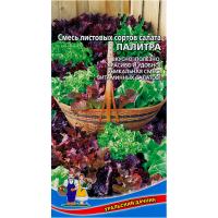 Салат Палитра