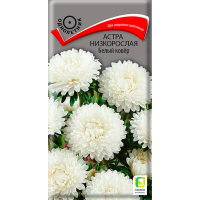 Астра (однолетняя) низкорослая Белый ковёр (ЦВ) (1) 0,2гр