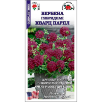 Вербена Кварц Парпл