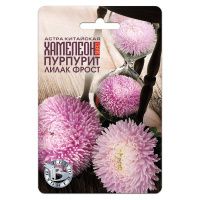 02Би2874  Астра китайская Хамелеон SELECT Пурпурит Лилак Фрост NDS