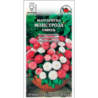 Маргаритка Монстроза