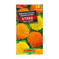 02Аэ1394 Бархатцы Купид хризантемовидные, смесь сортов